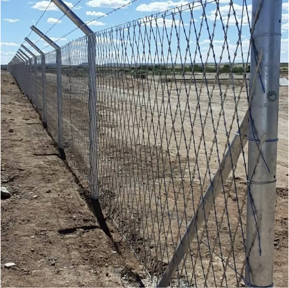 Razor Wire